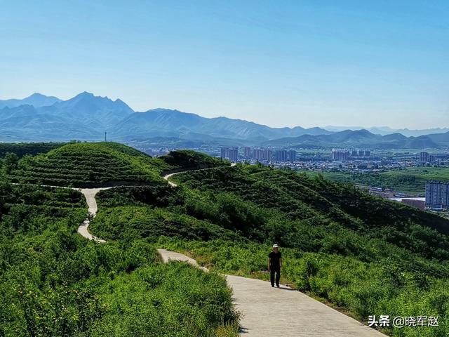 吸引眼球的图片:夏季摄影什么东西吸引人观看？