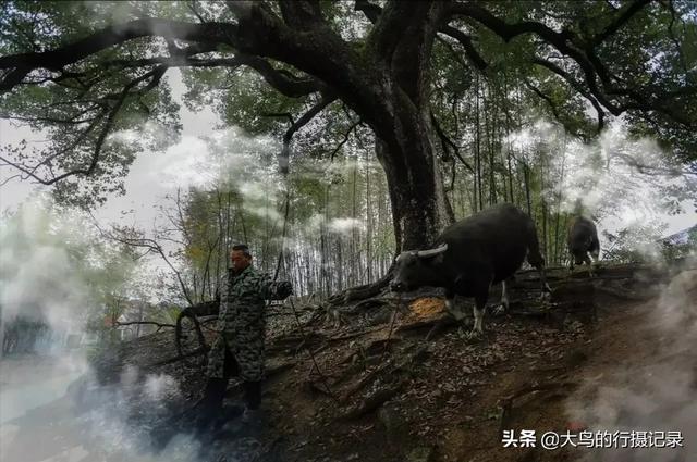 自己弄了一个微信公众号,应该怎么运营推广呢？