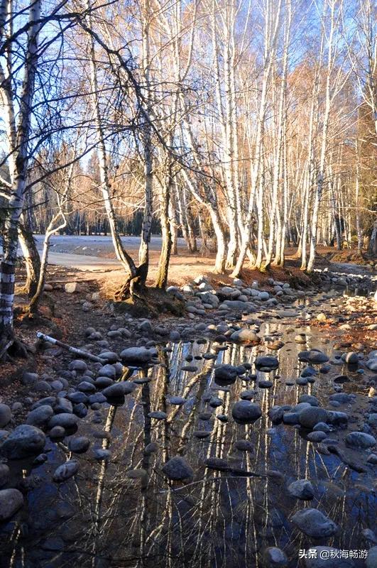 喀纳斯湖水怪抓住了:国内有哪些地方让你觉得很适合自驾游觉得去到就是赚到了