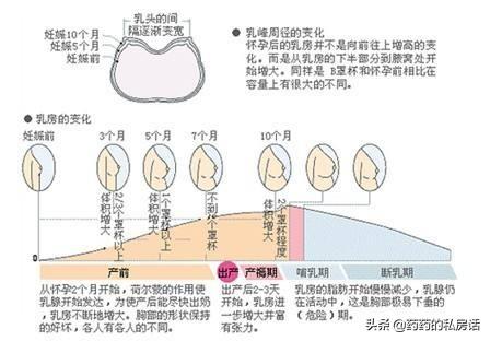 回娘家歌曲,为什么很多女的怀孕了要回娘家？