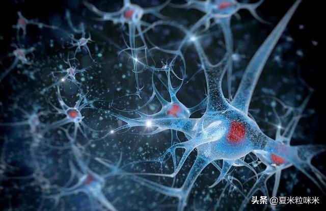 既然神经元的结构非常简单,那么为什么不制造几百亿个模拟神经元来模拟人脑？