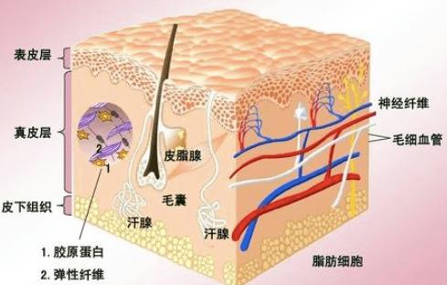 色素沉着疤痕,如何去除色素沉着性疤痕？