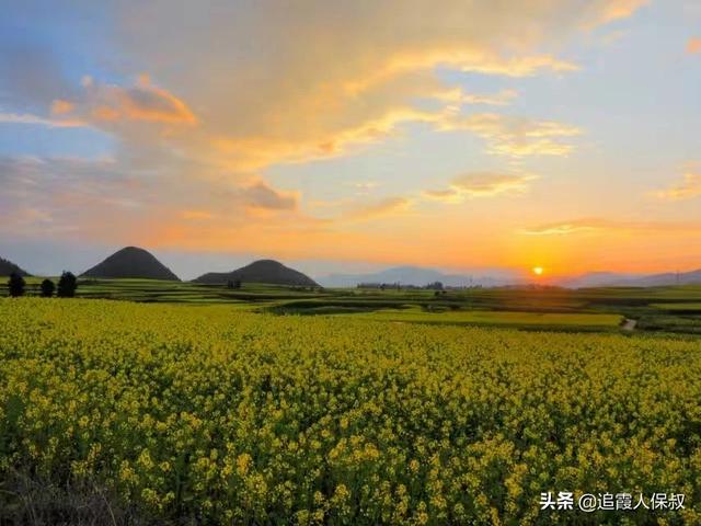 去哪里看油菜花(去哪里看油菜花最好看)