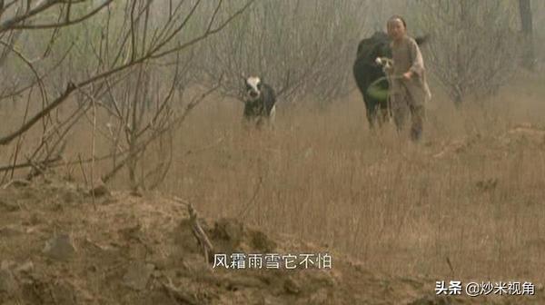 年羹尧怎么死的:《雍正王朝》年羹尧死的时候，牧童唱歌有什么含义