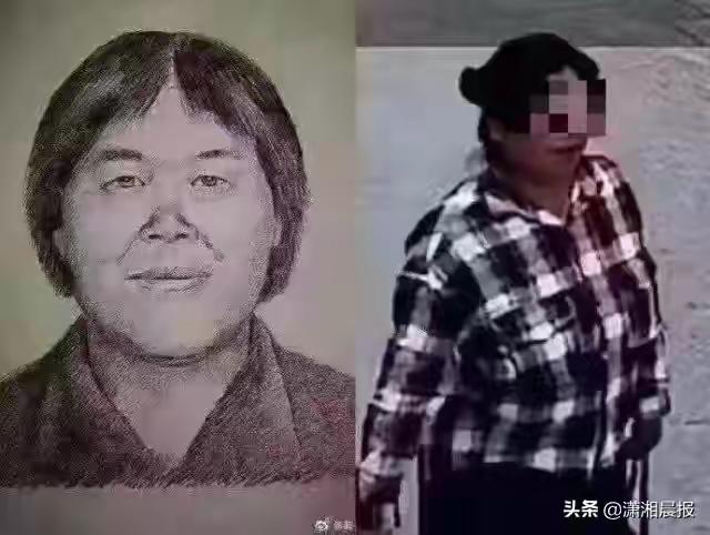 刘晓庆姜文:浅谈人贩子“梅姨”还能抓到吗