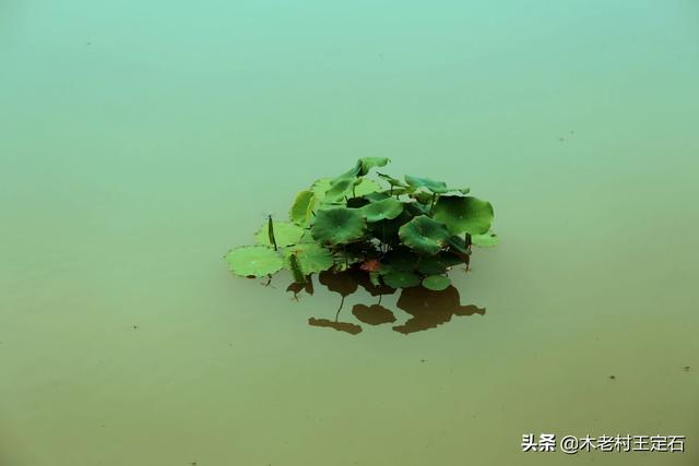<a href=https://maguai.com/list/256-0-0.html target=_blank class=infotextkey>朋友圈</a>配图 心情:八月，能否分享一张代表你心情的照片？