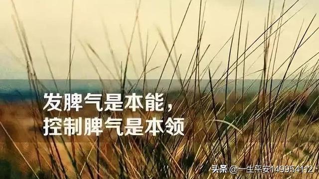 大学设狗屋助学生减压:班上有个同学得了抑郁症我们应该怎么帮助她？