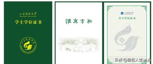 山东科技大学怎么样？是一本还是二本(图4)