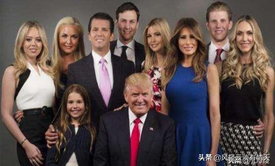 黑色金毛犬图片:两只黑色金毛交配有概率生出黄色的金毛吗？ 黑色金毛犬图片三个月