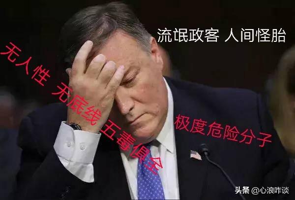 蔡和生平简介:至今为止！蓬佩奥到底是个什么样的人物？