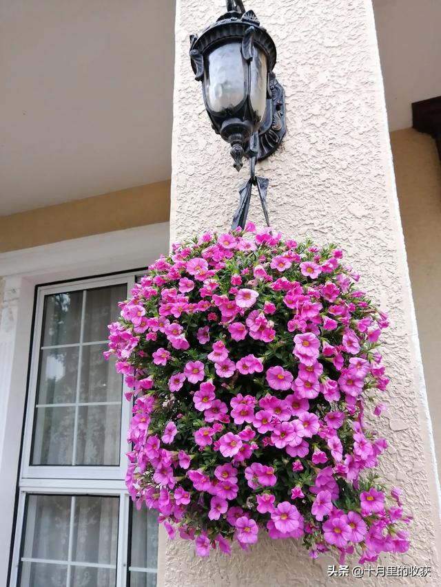 家住别墅是什么样的感觉？插图29