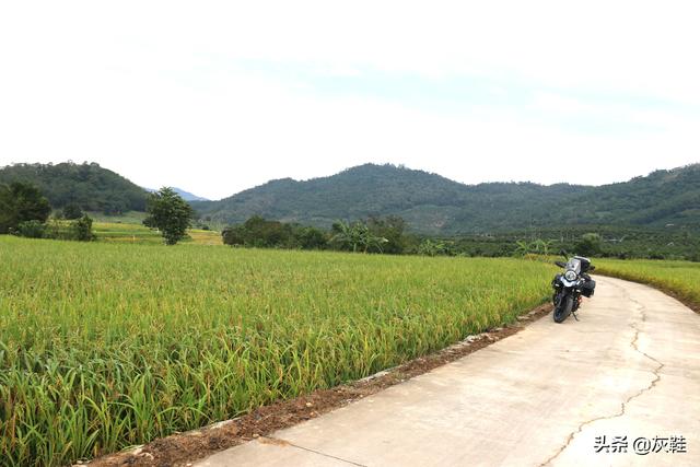 买一辆豪爵铃木Dl250 ABS版，从提车到上路要花多少钱？插图9