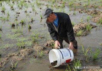 在农村你干过的最脏最累的活儿是什么？