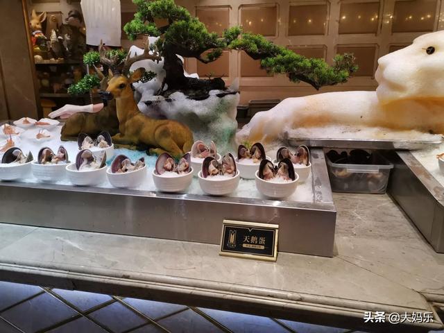 意大利扭玻利顿犬多少钱:你吃过最贵的一餐是多少钱？