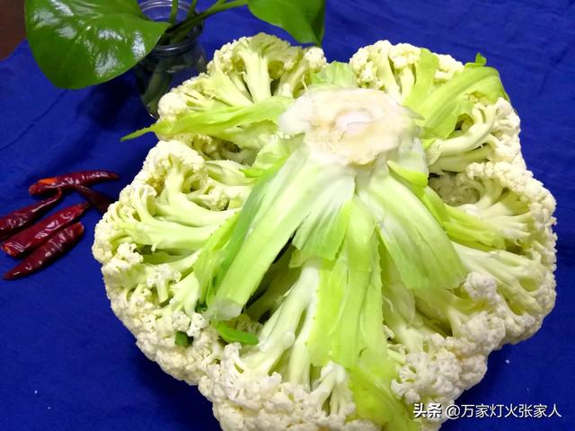 菜花甜妈送你葱:综艺节目到底是按剧本演的还是随机应变的