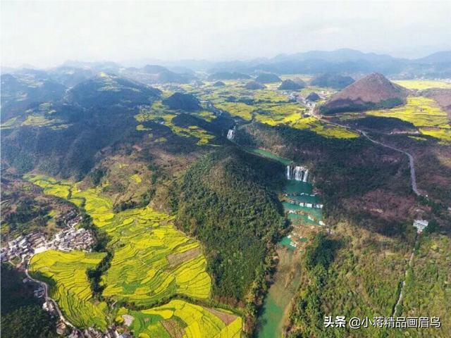 画眉鸟论坛交流:广东哪个地方出的画眉鸟最好斗？