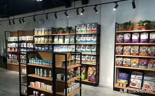小小宠物店:宠物店的经营范围有哪些？