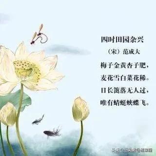 日长篱落无人过,惟有蜻蜓蛱蝶飞。到底是农忙还是农闲呢？