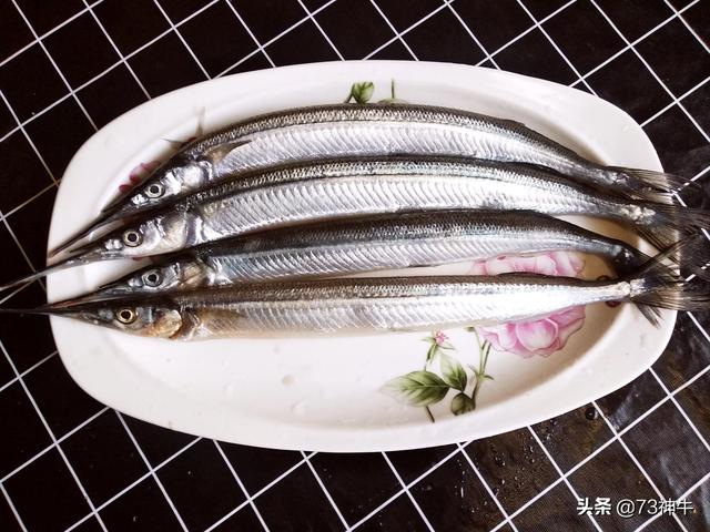 的海鮮雖然很多但是和渤海灣海鮮沒法比,南海馬鮫魚和渤海鮁魚很像,很