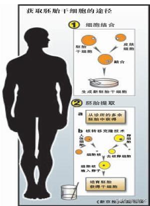 上百万的干细胞抗衰靠谱吗，胚胎干细胞抗衰老是否属实，为什么？