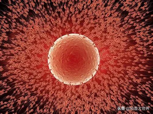 郑爽代育生子是怎么回事:郑爽代孕曝出的一系列代孕产业链，说明了当今部分人的什么问题？