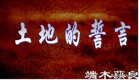 土地的誓言作者采用怎样的手法表现故乡的美丽？:土地的誓言作者 第4张
