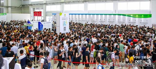 eweita狗粮是天然粮吗:eweita狗粮好用吗 怎么样鉴别狗粮是不是进口的？
