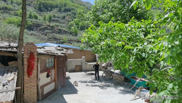 唐山小香猪养殖场:是什么原因让你进入养殖业的？