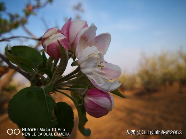 今年过年还能旅游吗（今年国内旅游还能去吗）