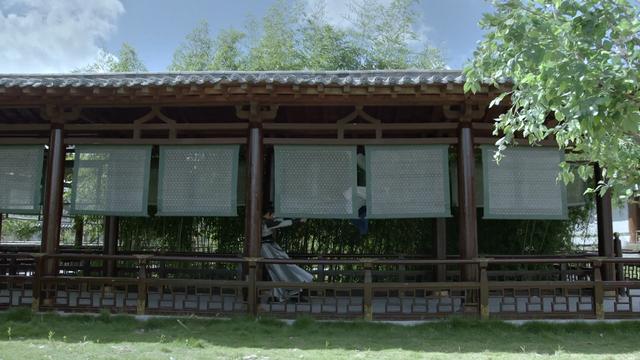 谢必安:《庆余年》里二皇子身边的谢必安那么牛，是几品？结局如何？