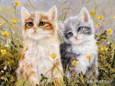 2个月大小猫吃什么:两月大的猫可以喝牛奶吗？有什么需要注意的吗？
