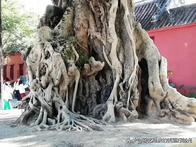 你正在或者曾经受过什么病痛折磨？有什么感悟？