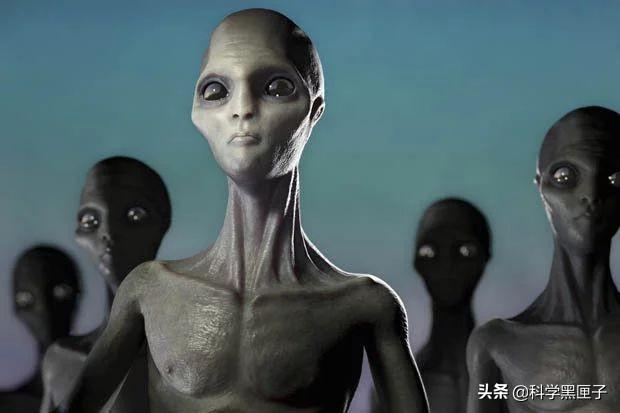 巴西亚马逊外星人事件:人类一旦遇见外星人怎么办