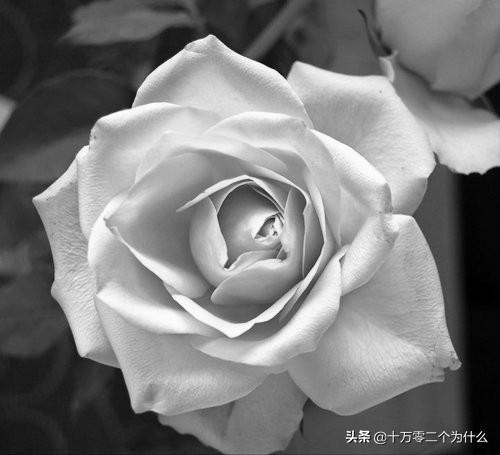 金喜善的老公:汤唯首次晒出老公孩子照片，明星晒孩子正面照有什么危险吗