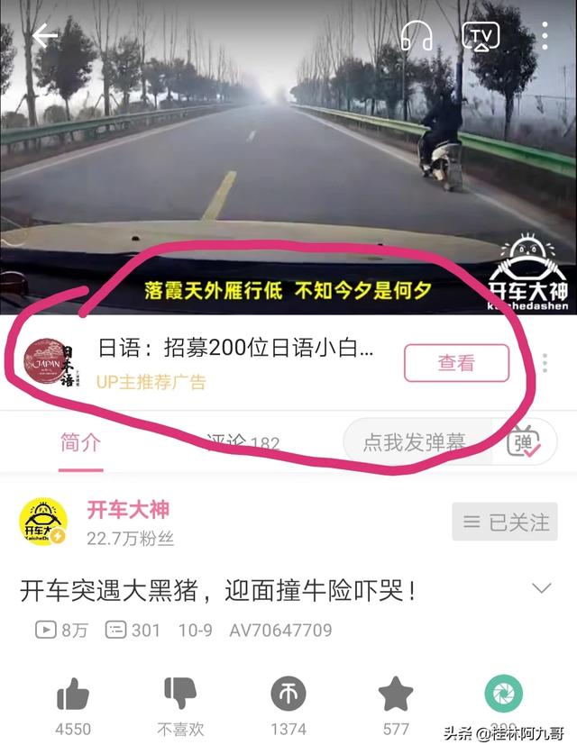 发b网，为什么是何冰在b站发表五四演讲《后浪》