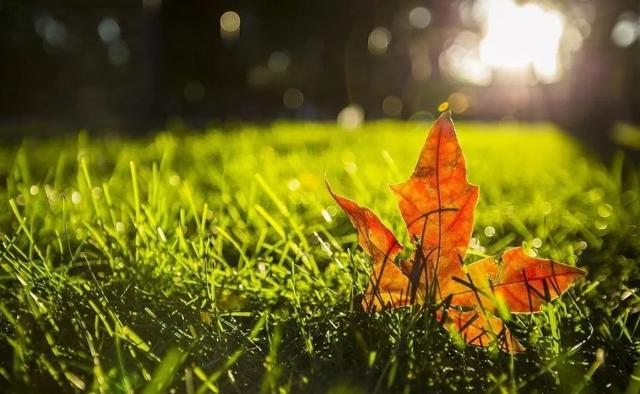孟立秋:六月立秋赶死牛，七月立秋慢悠悠，今年的立秋是什么概况？