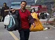 造福鸟招聘:乌鸦和喜鹊可以共同生活吗？ 缤纷鸟招聘