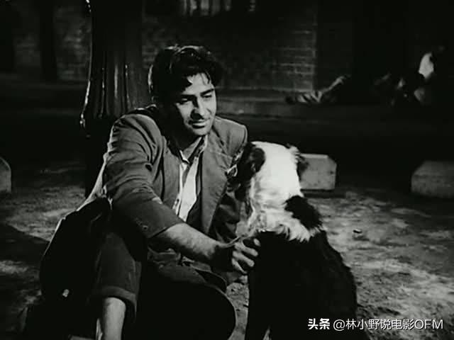 兰比尔卡普尔:有哪些电影陪你度过艰难时刻？
