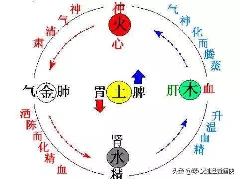 中国的五行是怎么得出来的？插图24
