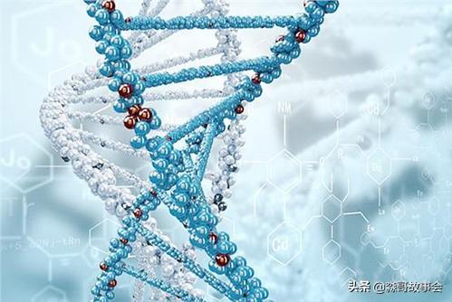 连体婴儿:打王者荣耀你们有遇到连体婴儿吗？