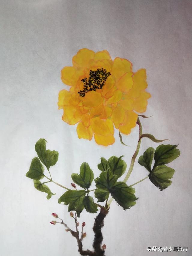 画壁中的牡丹:郑爽事件一波未平，一波又起，这是什么梗？