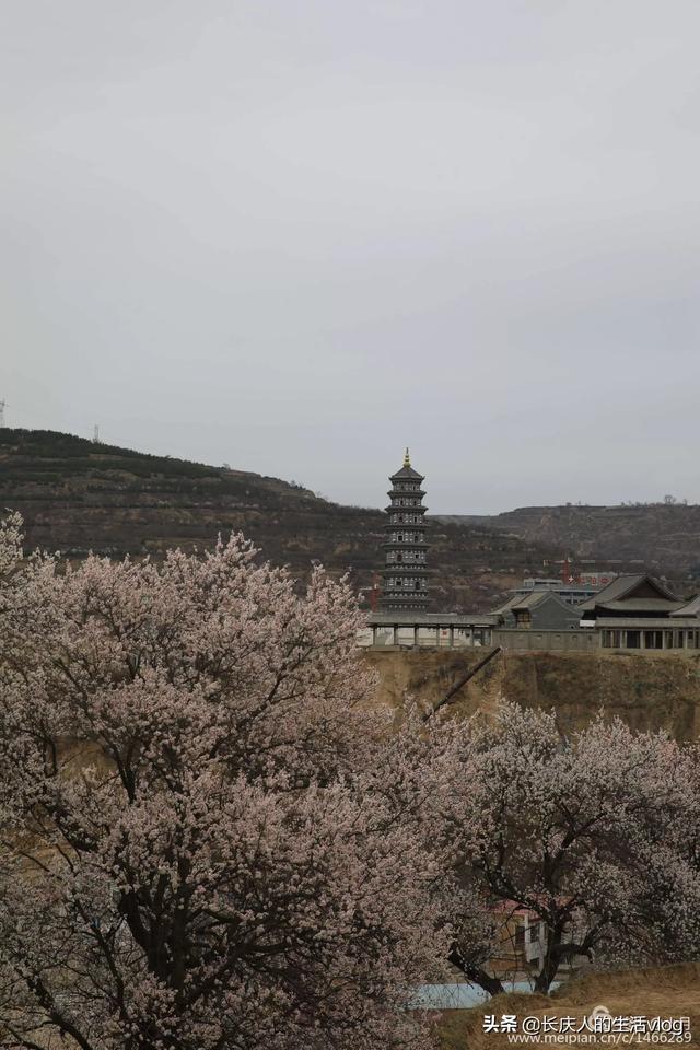 我国o2o发展现状，未来三年做本地O2O模式有没有市场前景