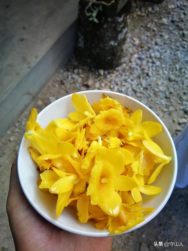 石斛图片,石斛的种类包括哪些？作用各有何不同？