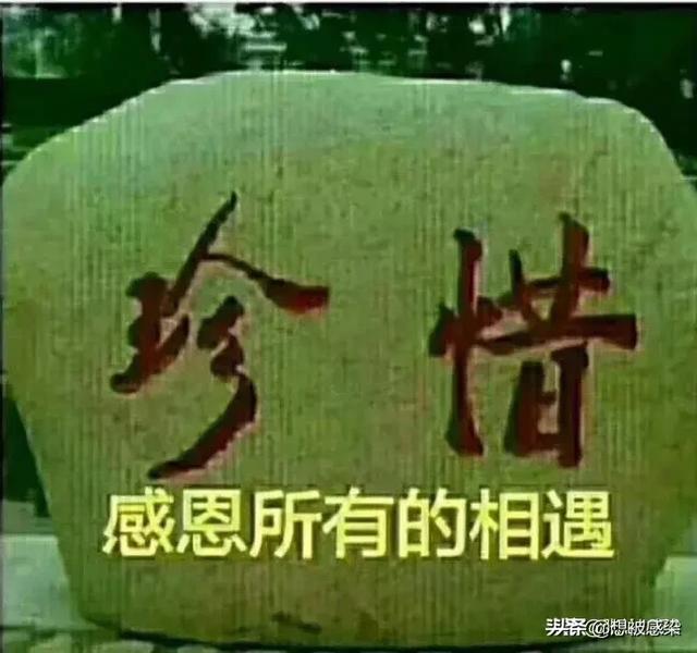 宠:你愿意要实实在在的宠？还是虚情假意的哄呢？