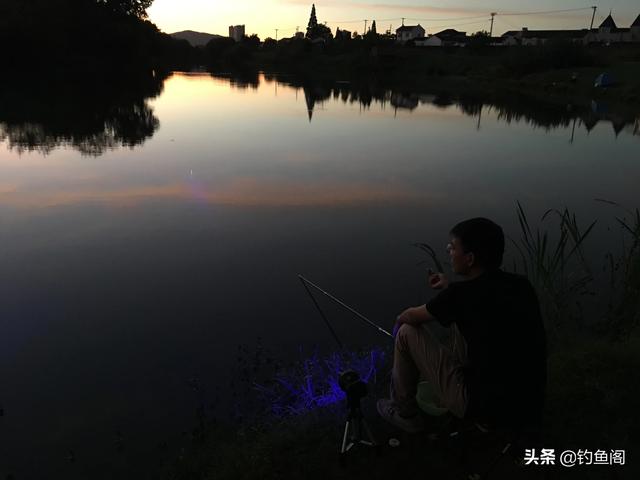 潜水艇鱼怕光吗:有人养过潜水艇鱼吗，新人求教，今天刚买的，只有一只小艇？