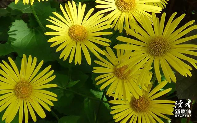 为什么有人说女人不能太强势？