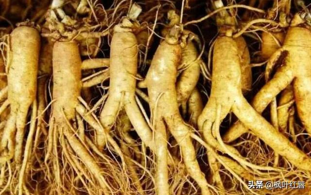 水解胶原纤脸面膜胶(水解胶原精华面膜)