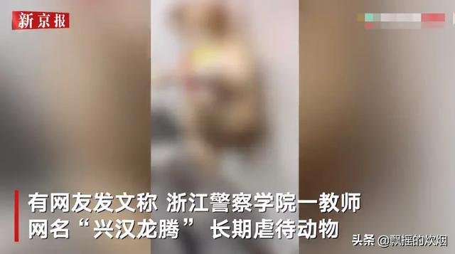 山东威海虐狗事件:金毛护主被活活打死，除了心痛，肇事者应该接受怎样的制裁？
