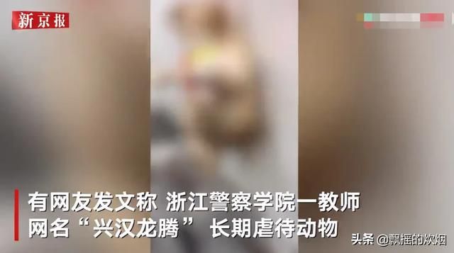 活剥小狗:如何看待“男子赌狗输钱后竟将狗活活摔死，还说狗不行就吃肉”？