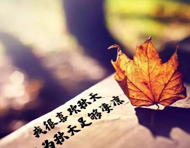 伤感的<a href=https://maguai.com/list/256-0-0.html target=_blank class=infotextkey>朋友圈</a>句子大全:八月发<a href=https://maguai.com/list/256-0-0.html target=_blank class=infotextkey>朋友圈</a>的伤感说说，哪一句让你红了眼眶？(8月发<a href=https://maguai.com/list/256-0-0.html target=_blank class=infotextkey>朋友圈</a>的说说)